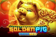 Golden Pig